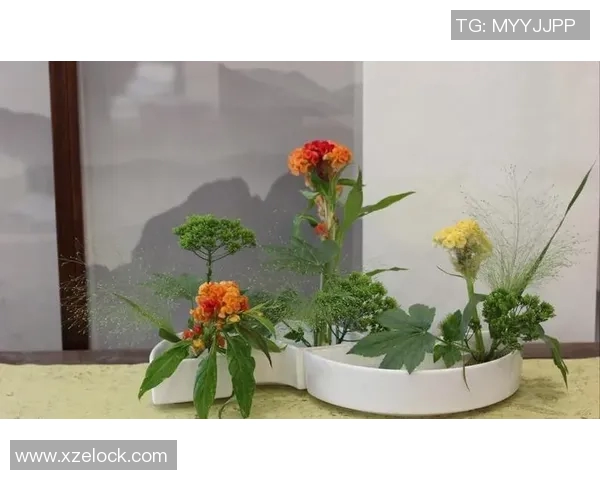 足球明星精彩瞬间高清插花艺术作品展现魅力与激情的完美结合